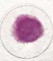 Academie_peeling_zluszczajacy_3.webp