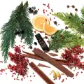 Forest-Therapy-Pure-Essential-Oil-Blend-Lesna-skladniki-terapia-olejek-do-inhalacji-aromatherapy-associate-2.webp