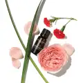 Rose-Pure-Essential-Oil-Blend-skladniki-rozany-olejek-do-inhalacji-aromatherapy-associates-2.webp