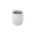 Forest-Therapy-Candle-swieca-lesna-terapia-aromatherapy-associates-2.webp