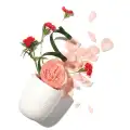Rose-Candle-swieca-rozana-aromatherapy-associates-2.webp