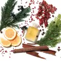 Forest-Therapy-Bath-and-Shower-Oil-lesna-terapia-olejek-do-kapieli-aromatherapy-associates-2.webp