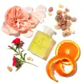 Support-Equilibrium-Bath-and-Shower-Oil-przynoszacy-spokoj-olejek-do-kapieli-aromatherapy-associates-2.webp
