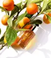 Witaminowe serum przywracające blask 12 H - Académie Sérum Éclat 12h